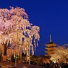 東寺　五重塔　夜間拝観