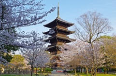 東寺　五重塔