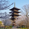 東寺　五重塔