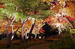 由志園
