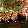 由志園