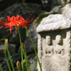 石仏の前に赤い花