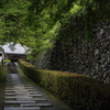 新緑の善峯寺