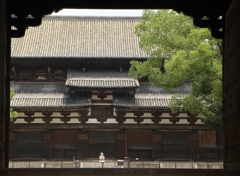 東寺