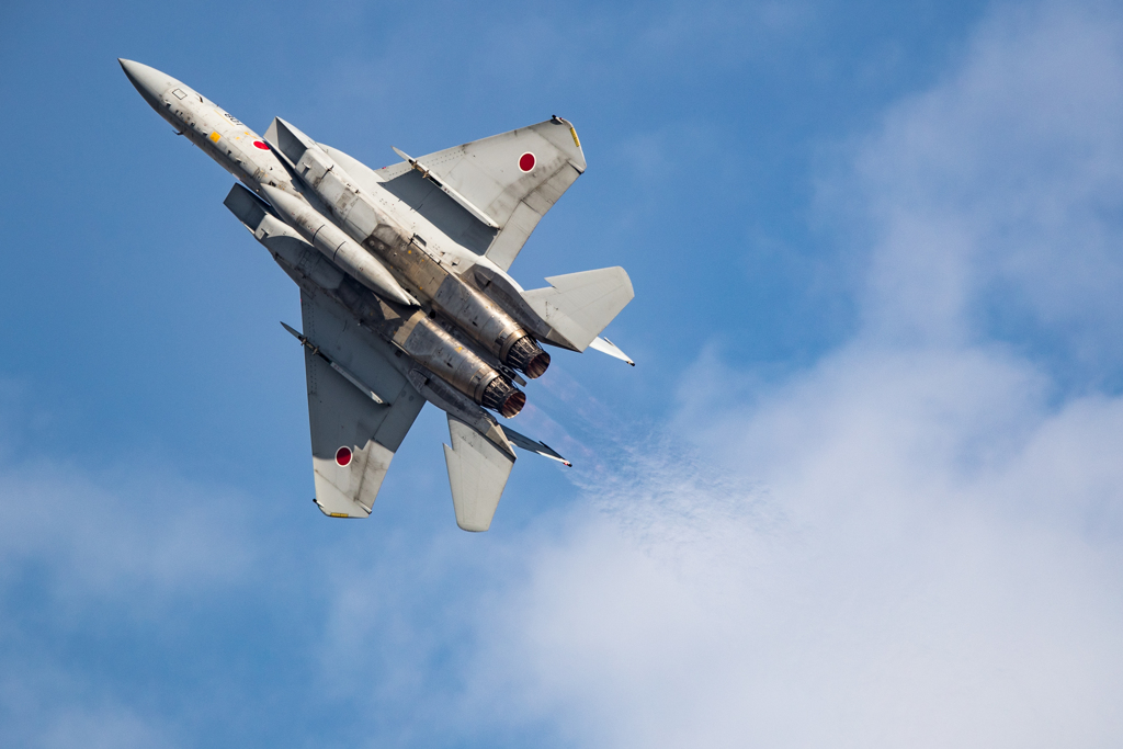 2016岐阜基地航空祭　7