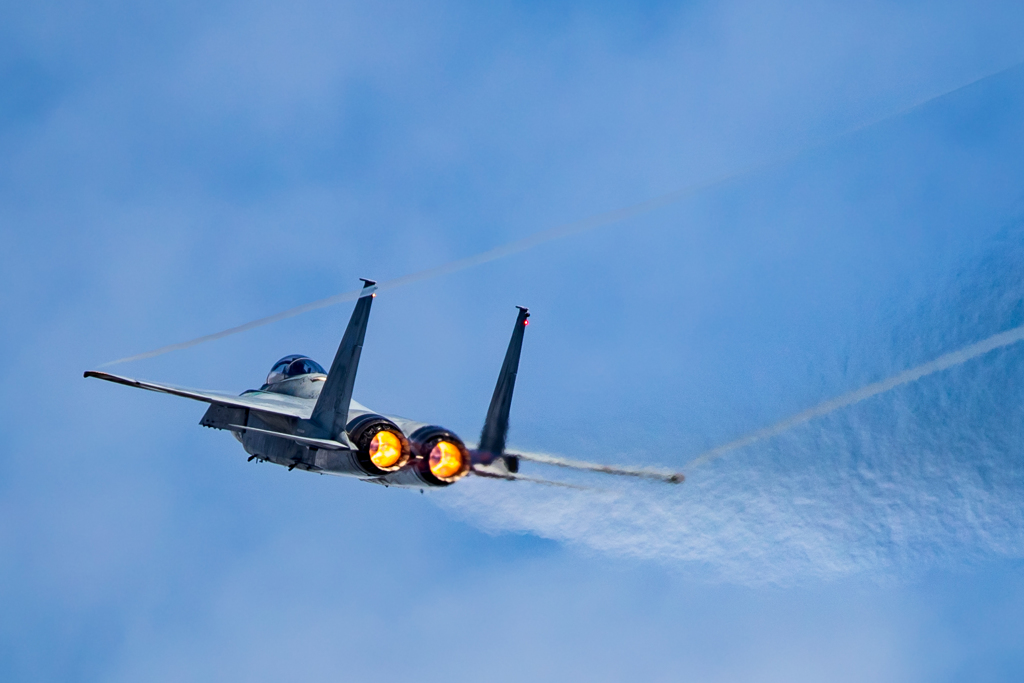 2016岐阜基地航空祭　5