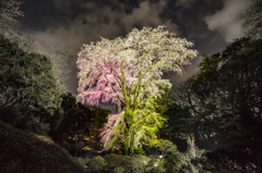 六義園