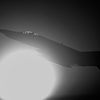 日米共同訓練