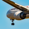せっかくなので他の飛行機も撮ってみる