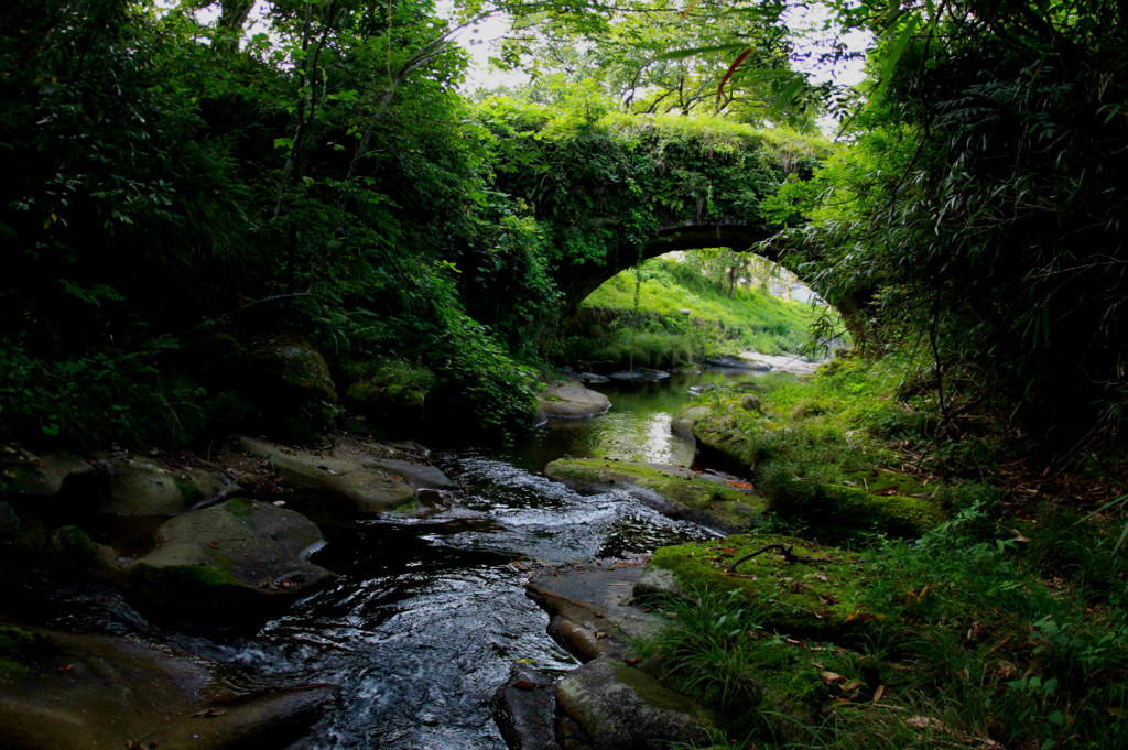 夏の川