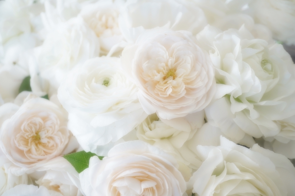 Anniversary Flower