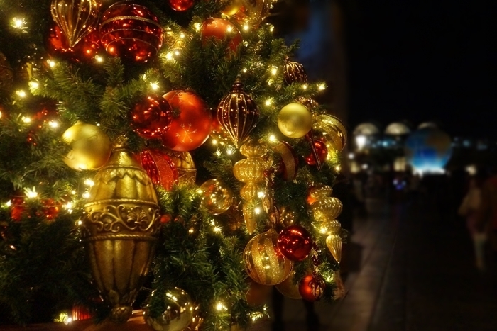 Disney Sea　20
