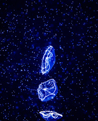 Galaxy Jellyfish 