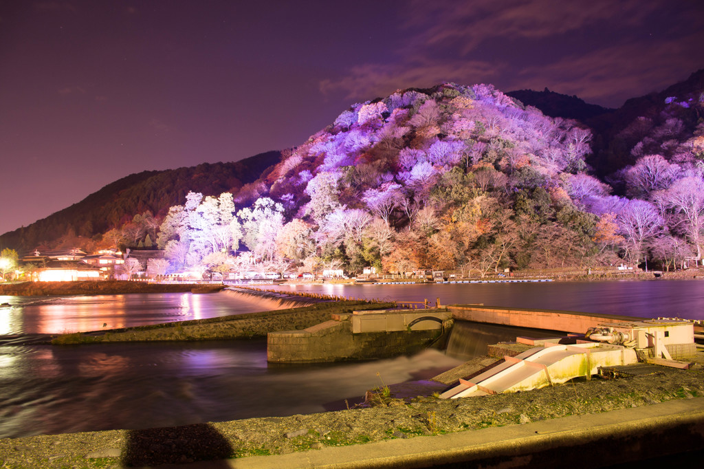 2015　嵐山　花灯路　ライトアップ