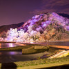 2015　嵐山　花灯路　ライトアップ