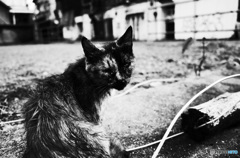さびれた街