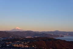 相模湾と富士山