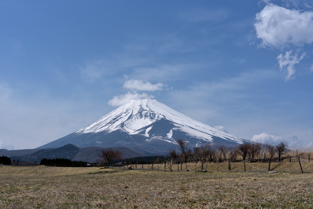 久々の富士山