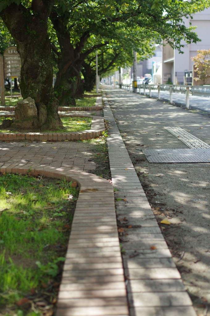 公園と歩道の境界線