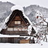 念願の白川郷雪化粧 その2