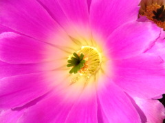 ISO800 (L)