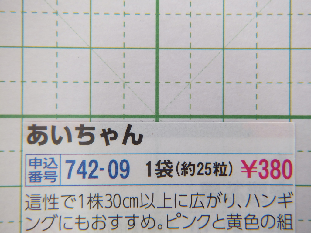 マクロ最短 (L)