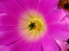 ISO400 (L)