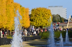 昭和記念公園
