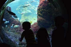 江ノ島水族館