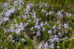 5月5日バイク乗り
