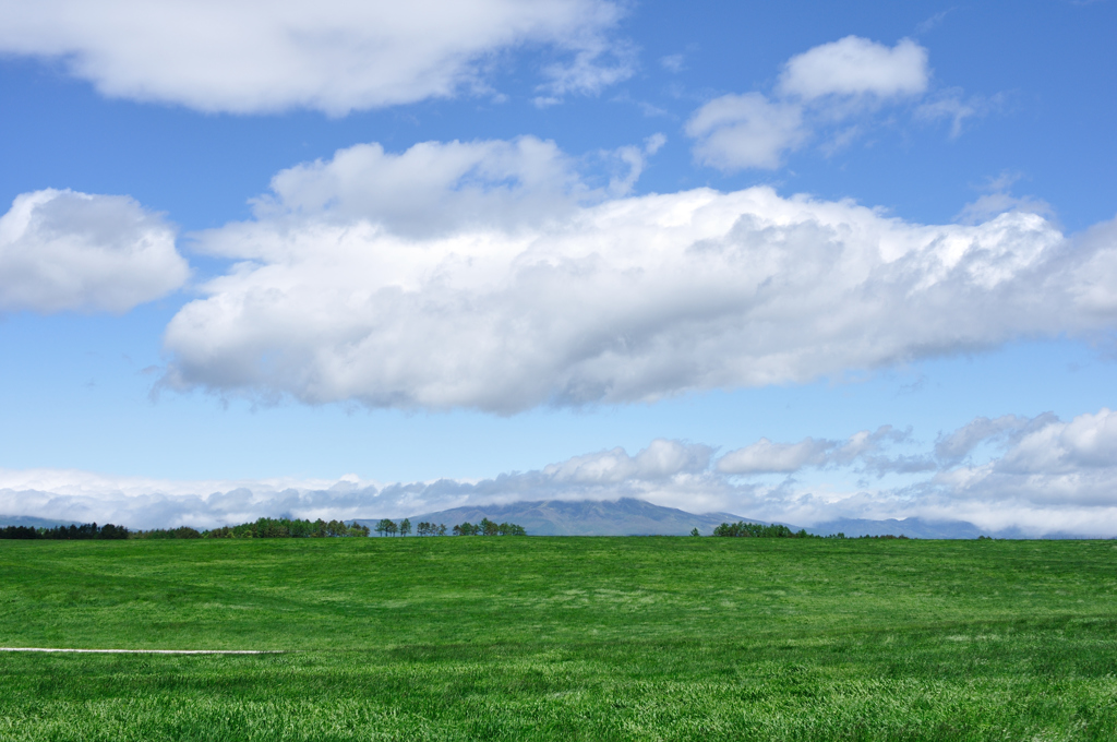 D90-AF NIKKOR 28mm1:2.8D