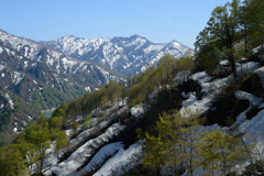 R252冬季閉鎖解除