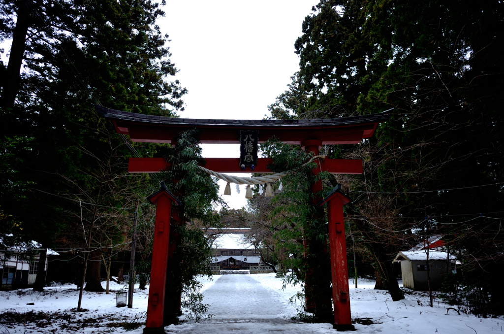 2019初詣