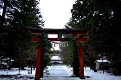 2019初詣