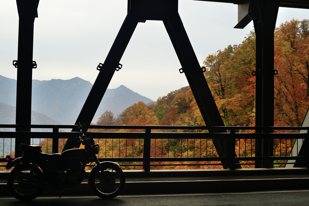 NIKKOR SC Auto 50mmF1.4