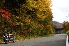 NIKKOR SC Auto 50mmF1.4