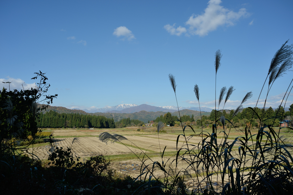 NIKKOR-H Auto 28mm 1:3.5