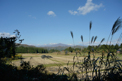 NIKKOR-H Auto 28mm 1:3.5