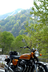 R252冬季閉鎖解除