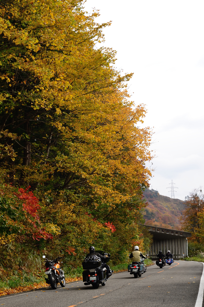 NIKKOR SC Auto 50mmF1.4