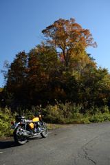 NIKKOR-H Auto 28mm 1:3.5