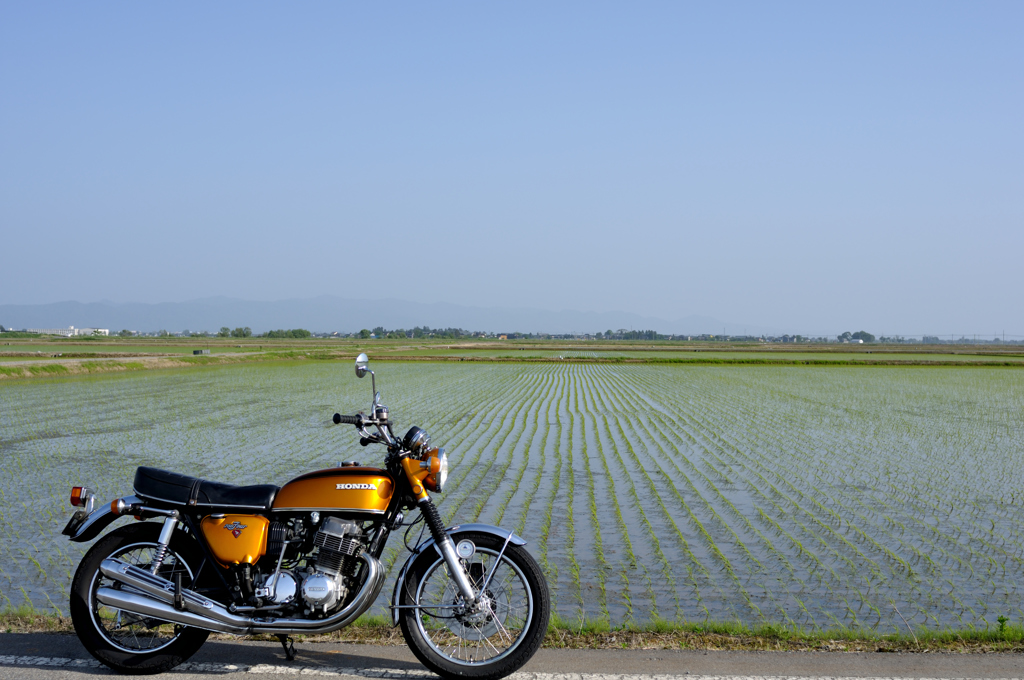 D90 AF NIKKOR 28mm 1:2.8D