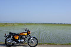 D90 AF NIKKOR 28mm 1:2.8D