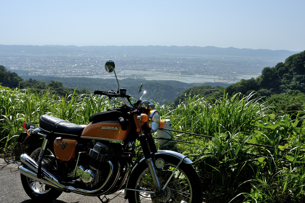 Nikkor H-Auto 28mm 1:3.5(1973) on D90