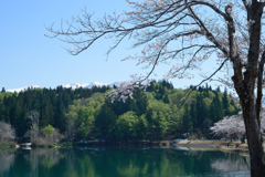 Nikkor-SC Auto 50mm 1:1.4(1974)