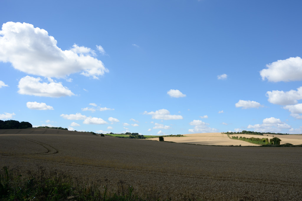 AF NIKKOR 28mm 1:2.8D 1