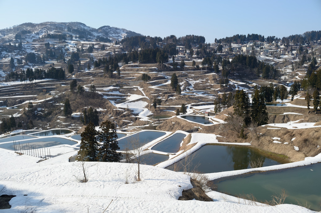 NIKKOR 35mm 1:2(1976)