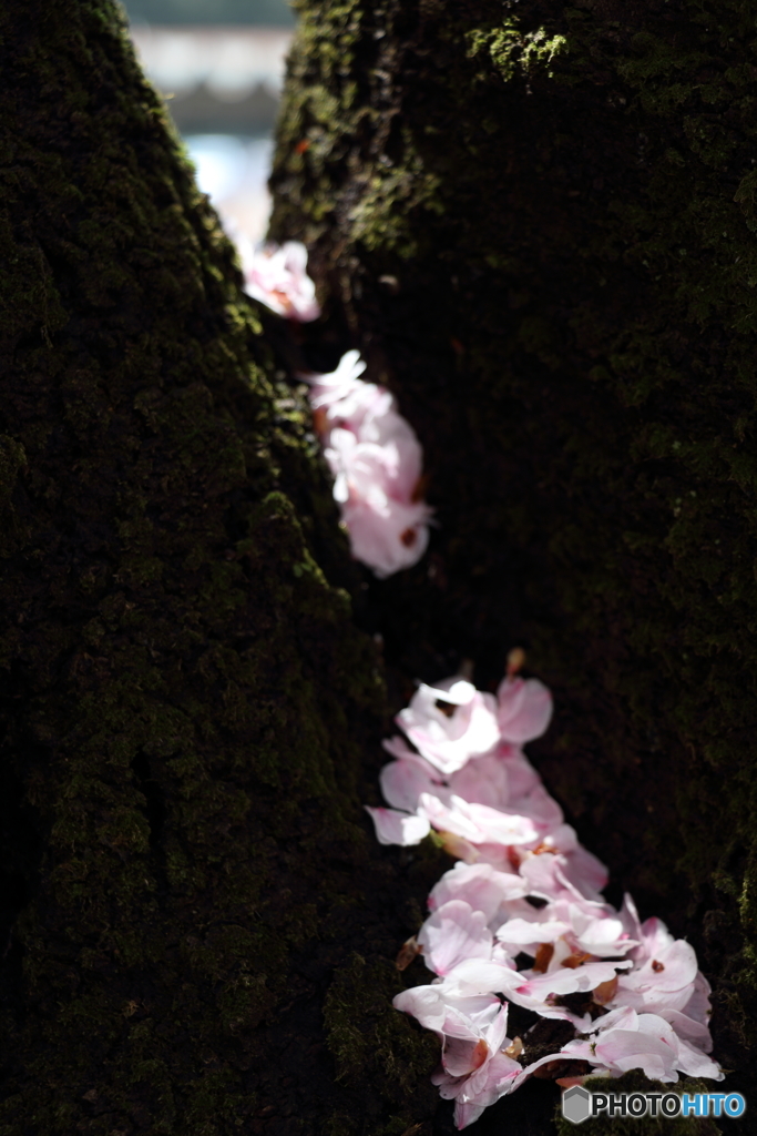 華やかな空の影で・・・