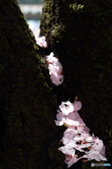 華やかな空の影で・・・
