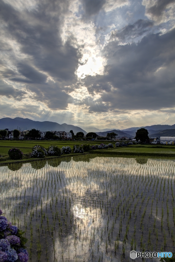 開成町あじさい祭　空